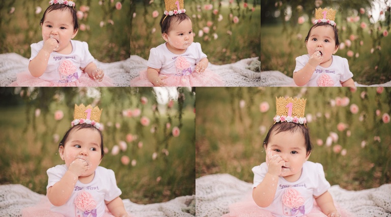 Cake Smash and First Birthday Photography