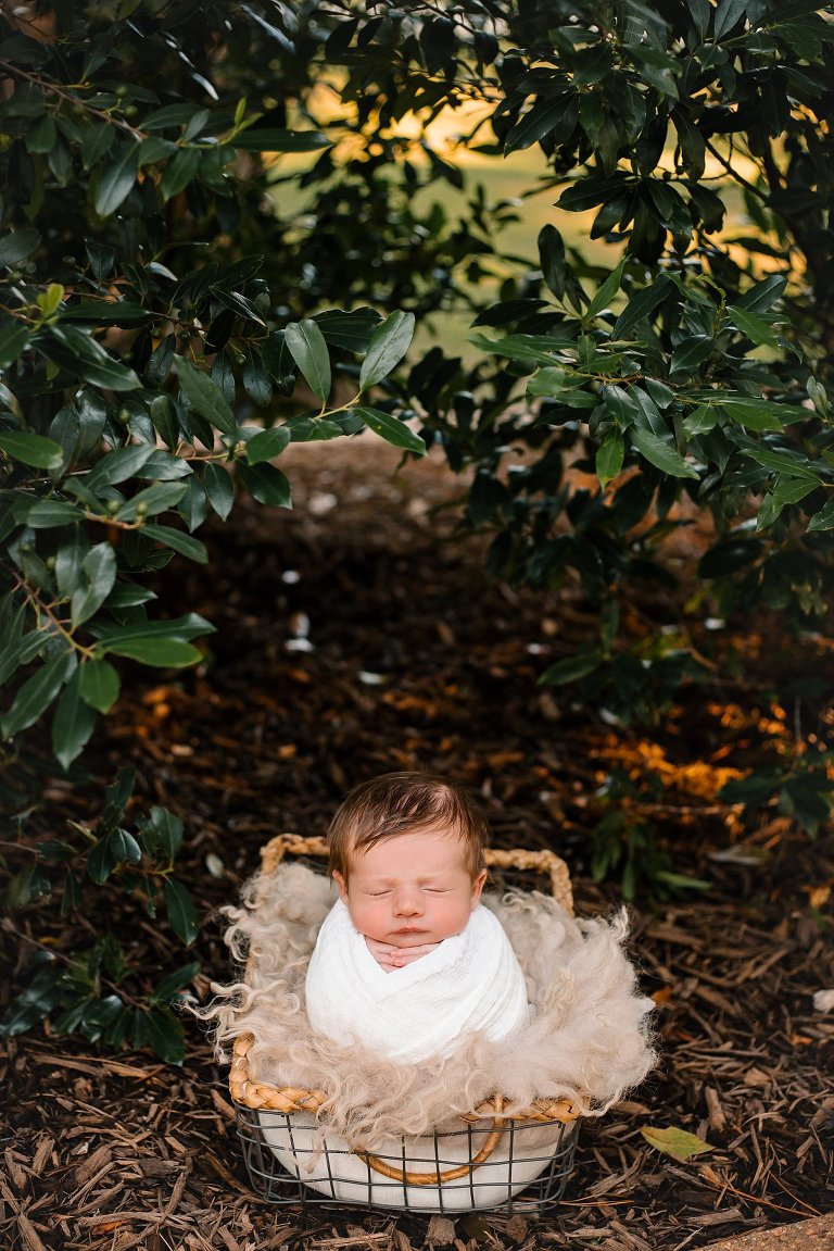 Houston Outdoor Newborn Mini Sessions