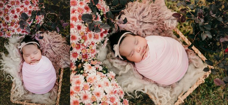 Newborn Girl Outdoor Photos Houston